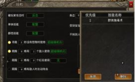 道士挂机设置界面1